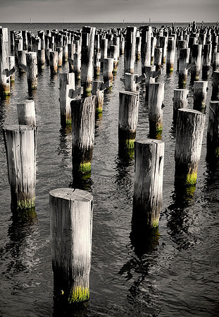 Algae on Princes Pier
