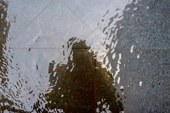 DSC_8273