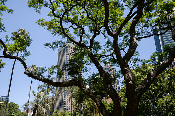 DSC_8283