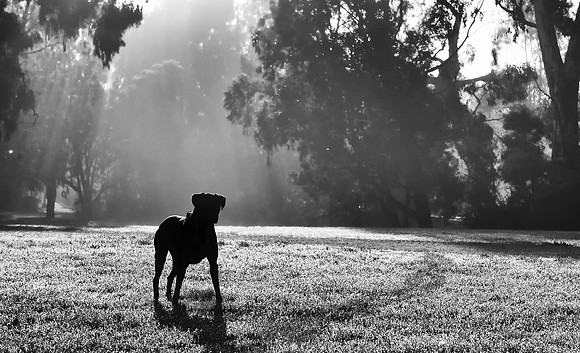 DSC_0835_96703