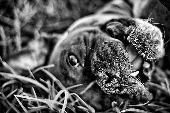 DSC_3024-Edit