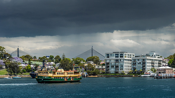 DSC_6669