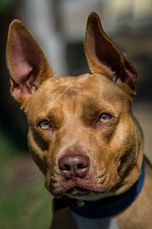 DSC_0268-Edit