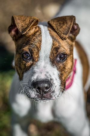 DSC_2809-Edit