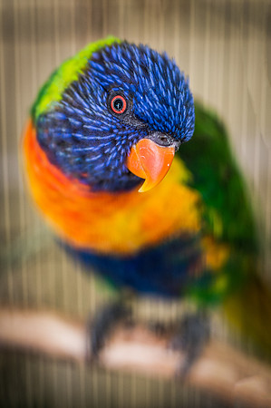 DSC_2841-Edit