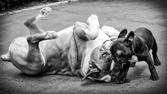DSC_1755_8457-Edit