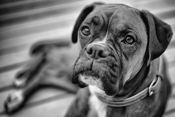 DSC_3098-Edit