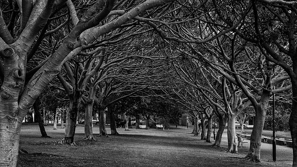DSC_5115-Edit