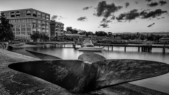 DSC_5128-Edit