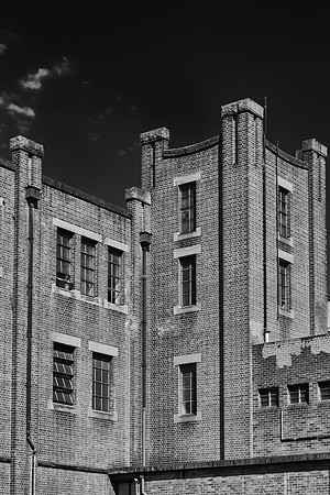 DSC_5219-Edit