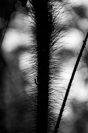 DSC_5666