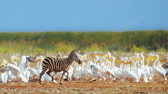 DSC_7311_43414