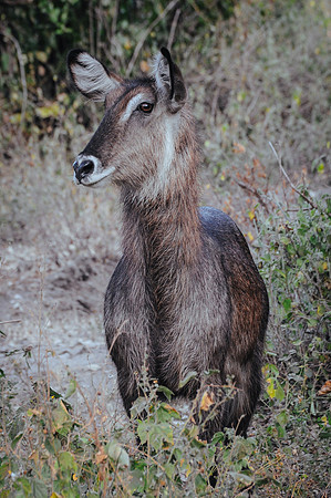DSC_7379_43482