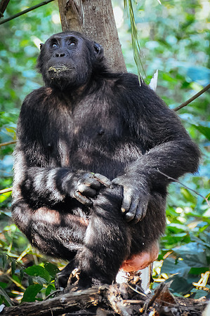 DSC_7437_43540