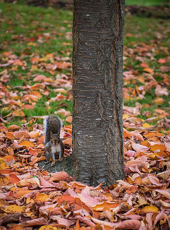 DSC_1056