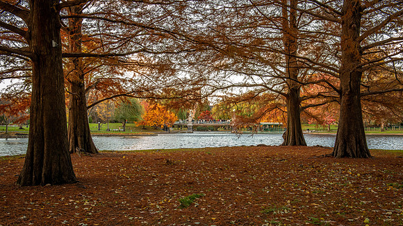 Boston