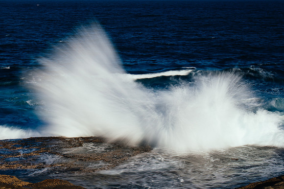 DSC_5833