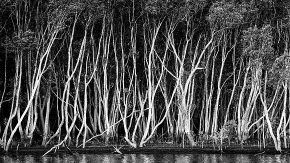 DSC_4240-Edit