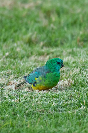 DSC_1865
