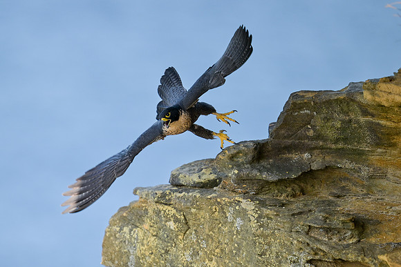 DSC_3326-Edit