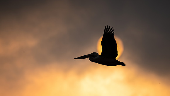 DSC_1332-Edit