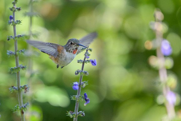 DSC_8365_02-Edit